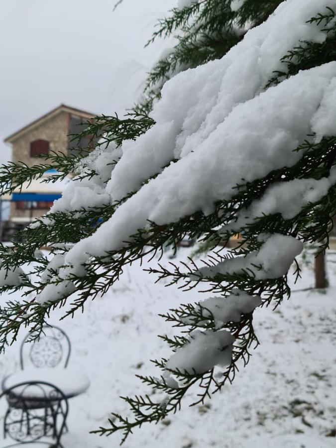 La Pommeraie D'Ifrane Ifrane  Exterior photo